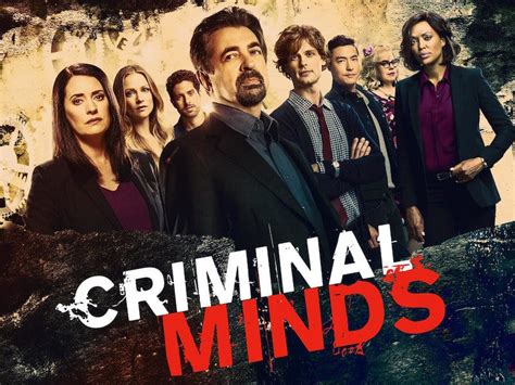 m4ufree criminal minds|Criminal Minds: All Episodes .